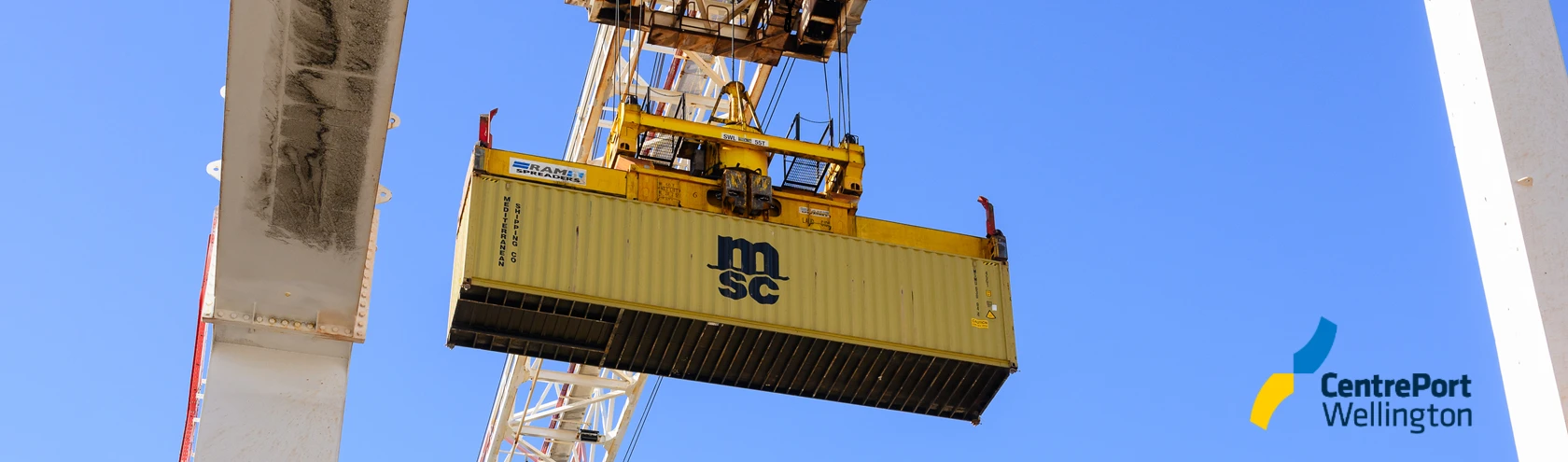 Cranes in action   PortConnect