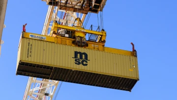 Cranes in action   PortConnect