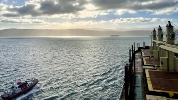 Otago Bay and Pilot Boat November 2025