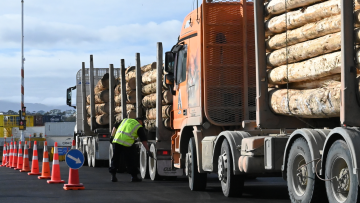 A security officer inspects a log truck