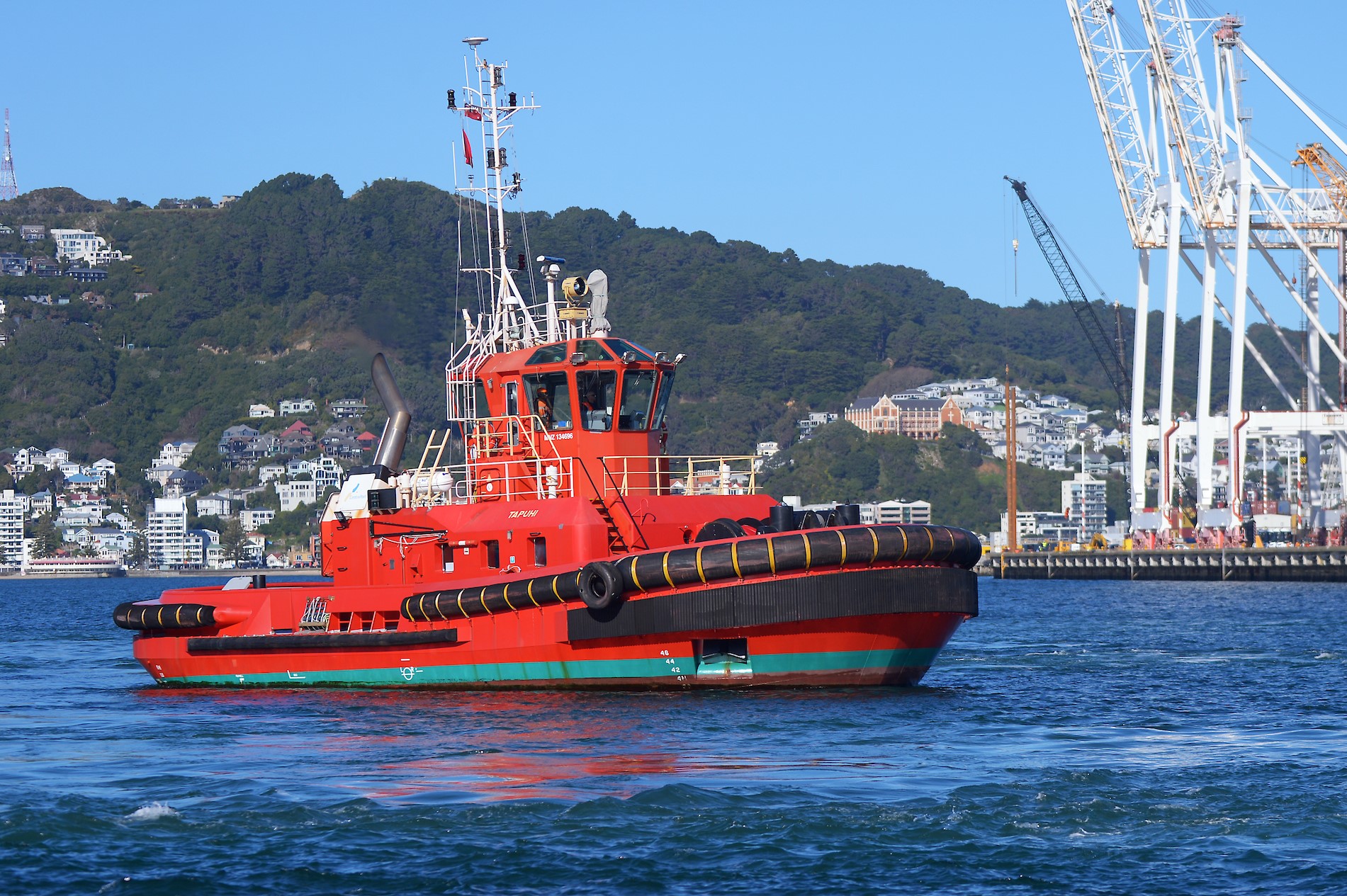 MD Tapuhi DL210728cpt 003
