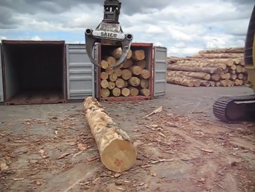 Zindia containerised logs