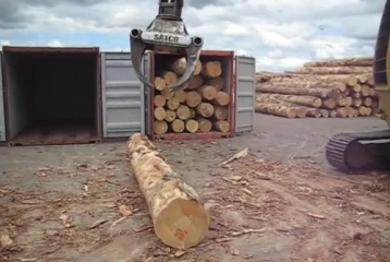 Zindia containerised logs